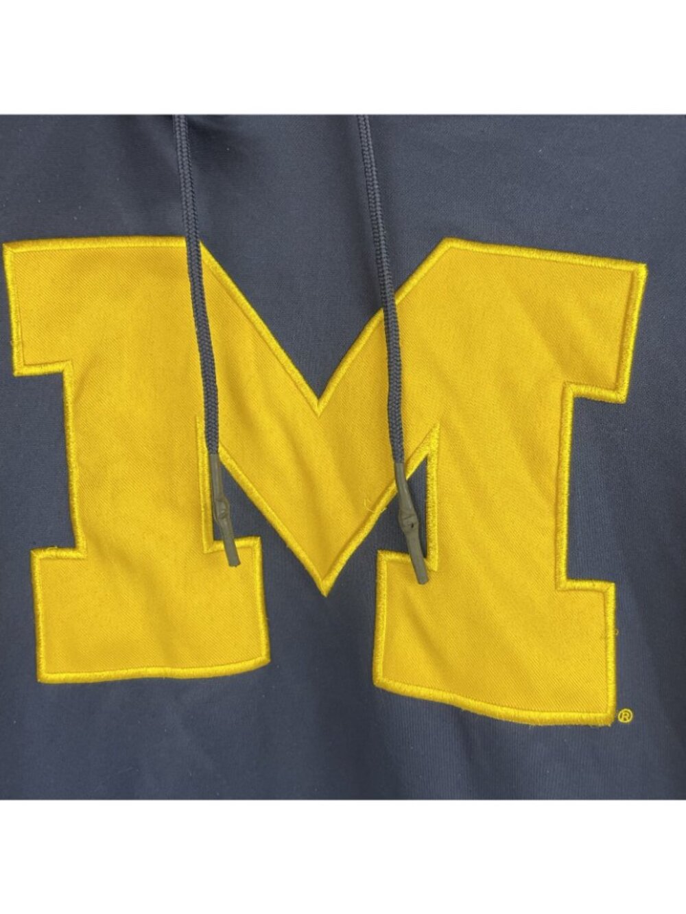 Vintage Champion Michigan Wolverines Hoodie – Men’s Small – Blue & Yellow - Picture 3 of 8